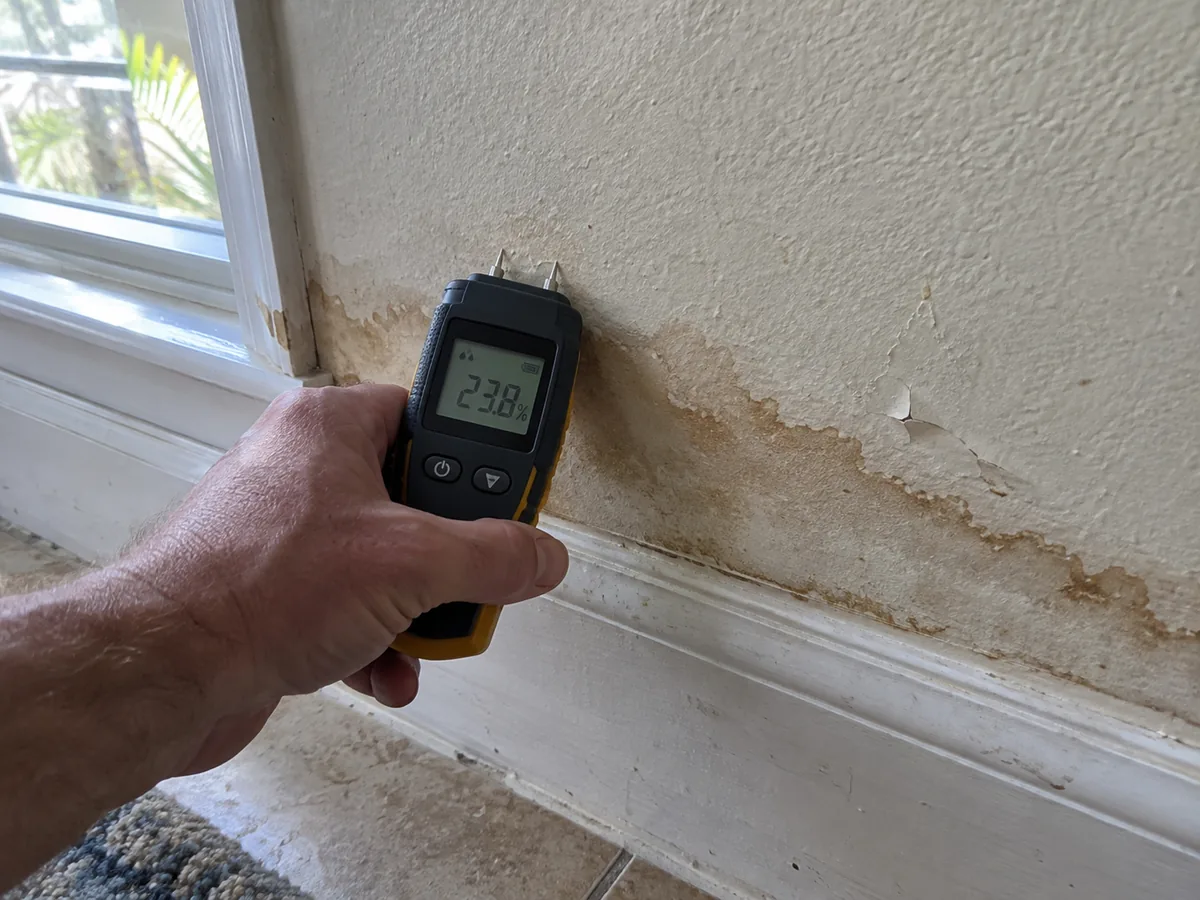Moisture meter reading 23.8% on water-stained drywall during a mold inspection in West Palm Beach